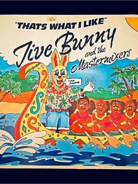 Vinyl Jive Bunny & The Mastermixes - That’s What I Like
